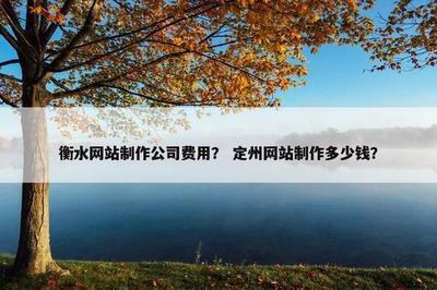 衡水与定州网站制作公司费用及国内广告设计费用全解析